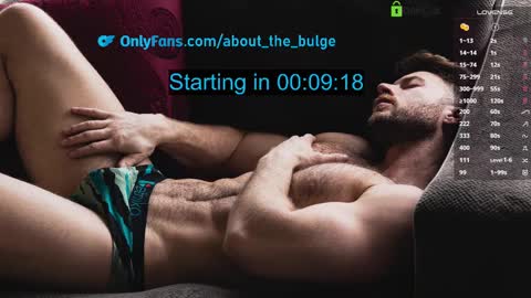 Snapshot of about_the_bulge chatting on February 16, 2025, 8:44 pm about_the_bulge online show from February 16, 2025, 8:44 pm