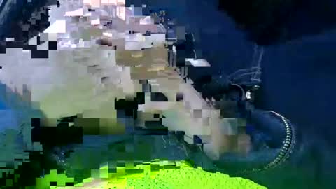 Snapshot of acemcdade chatting on January 14, 2025, 1:49 pm Ace online show from January 14, 2025, 1:49 pm