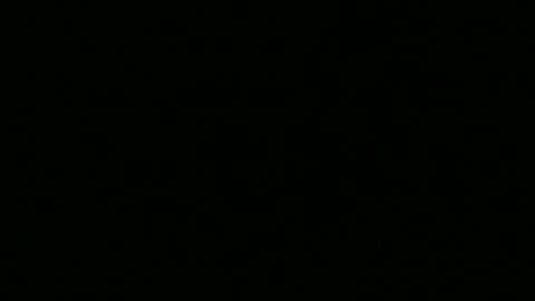 adi2019 online show from October 20, 2025, 3:56 pm