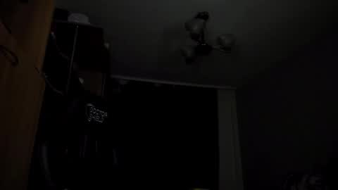 Adonis Steel online show from December 14, 2024, 7:46 pm