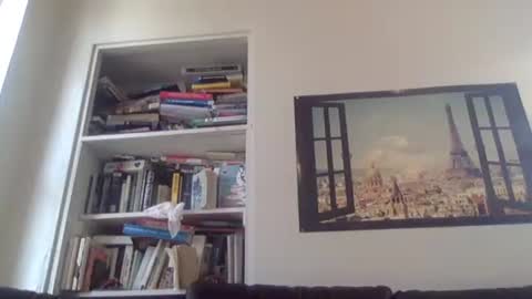 aesthetic form online show from April 13, 2026, 8:47 pm