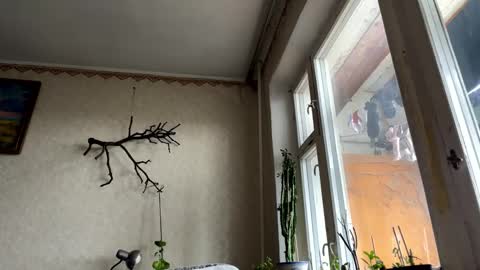 Snapshot of aevra chatting on October 14, 2025, 6:14 am vegans taste better online show from October 14, 2025, 6:14 am