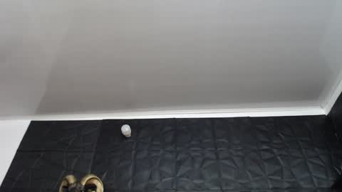 Snapshot of agata_darkness chatting on December 11, 2024, 2:54 pm Miss Agata online show from December 11, 2024, 2:54 pm