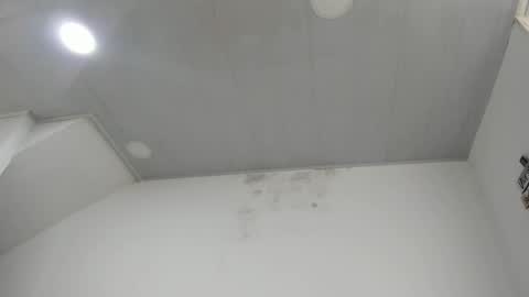 Katie   online show from December 19, 2024, 1:40 pm