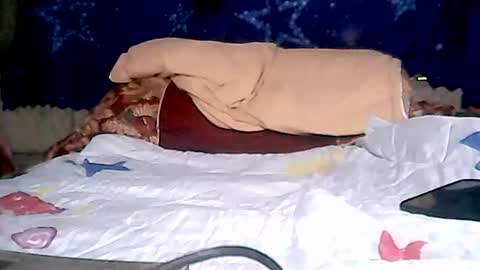 Snapshot of aislahrose chatting on January 28, 2025, 2:11 am rosie online show from January 28, 2025, 2:11 am