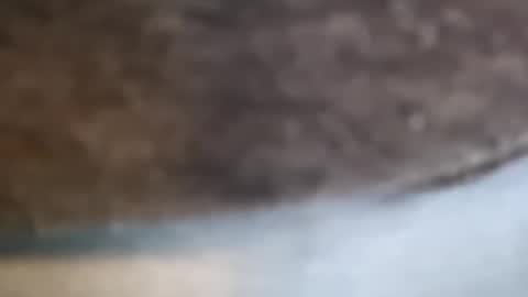 aj297914 online show from February 17, 2026, 3:14 am