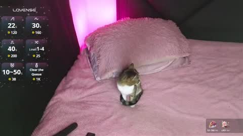 Snapshot of alahia_demon chatting on January 15, 2025, 2:17 am alahia online show from January 15, 2025, 2:17 am