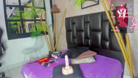 Alana online show from March 14, 2026, 11:15 am