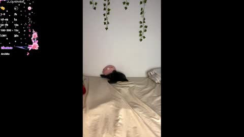 Snapshot of alaska_drew chatting on February 25, 2025, 11:08 am Alaska online show from February 25, 2025, 11:08 am