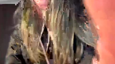 Andrea online show from December 23, 2024, 8:03 pm