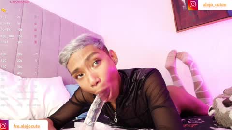 alejo_cute online show from December 29, 2024, 11:18 pm