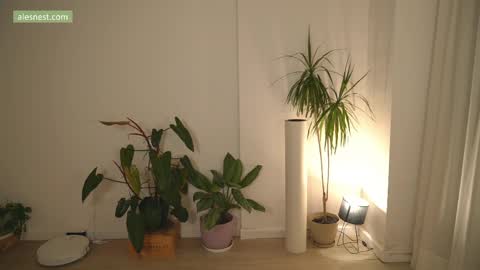 Ale online show from April 6, 2026, 11:49 pm