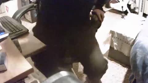 Snapshot of alex81pv1981 chatting on December 8, 2024, 6:50 pm alex81pv1981 online show from December 8, 2024, 6:50 pm