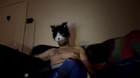 alex_essex69 online show from February 26, 2026, 12:42 am