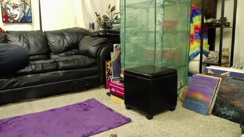 Alexa  GW online show from December 18, 2024, 4:20 am