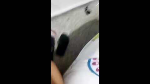 Snapshot of alexamdergal chatting on January 9, 2025, 10:31 pm Alexamdergal online show from January 9, 2025, 10:31 pm