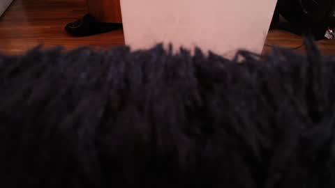 Alexa Moon online show from December 7, 2024, 3:58 am