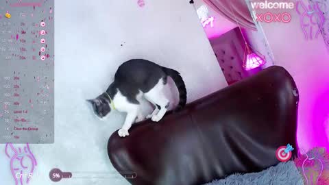 Snapshot of alexandra_evanz chatting on January 27, 2025, 1:09 pm Alexandra Spellman online show from January 27, 2025, 1:09 pm