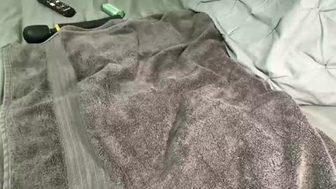 Snapshot of alexis_696969 chatting on December 13, 2024, 11:34 am Alexis online show from December 13, 2024, 11:34 am