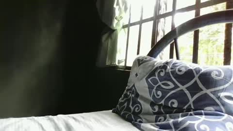 Alex online show from December 29, 2024, 5:01 pm