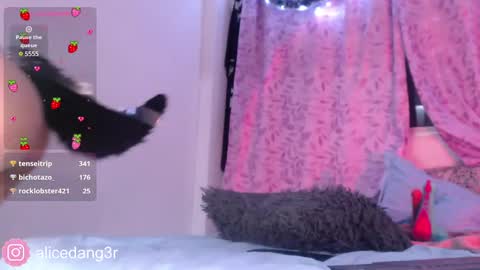 Snapshot of alicedang3r chatting on December 15, 2024, 5:13 am Alice online show from December 15, 2024, 5:13 am