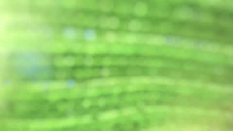 Snapshot of alicia_carr chatting on October 23, 2025, 9:35 pm Alicia online show from October 23, 2025, 9:35 pm