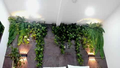 Alice online show from February 1, 2026, 6:17 pm