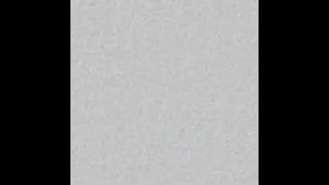 Alisse online show from February 14, 2026, 12:13 pm