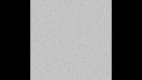 Alisse online show from March 21, 2026, 12:10 pm