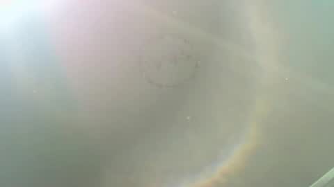 Snapshot of alisson__wood chatting on November 17, 2025, 3:07 pm ALISON WOOD online show from November 17, 2025, 3:07 pm