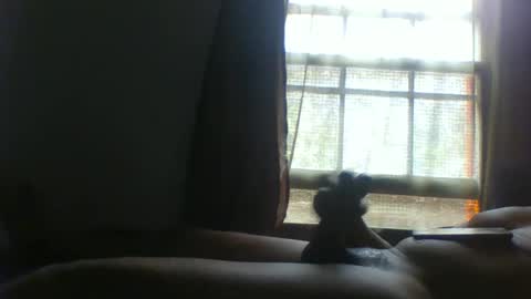 Snapshot of allbermy chatting on November 11, 2025, 6:08 pm allbermy online show from November 11, 2025, 6:08 pm