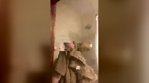 allisonlove2 online show from April 9, 2026, 11:32 pm