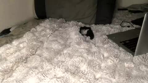 allthewayup10 online show from March 2, 2025, 8:38 am