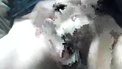 Snapshot of allways395 chatting on September 28, 2025, 3:34 am allways395 online show from September 28, 2025, 3:34 am