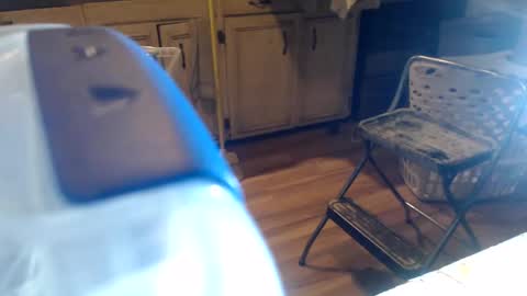 allwolf0323 online show from April 6, 2026, 6:03 am