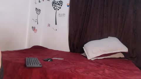 Snapshot of allyka_transsm chatting on April 19, 2026, 4:01 am Allyka online show from April 19, 2026, 4:01 am