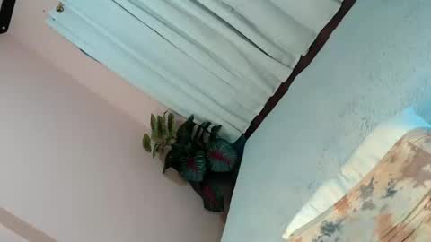 Snapshot of alove_too_last chatting on February 4, 2025, 5:12 pm LEXY online show from February 4, 2025, 5:12 pm