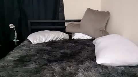 alphawulf1 online show from March 2, 2026, 4:03 pm