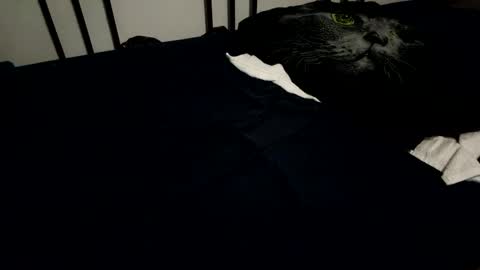 Snapshot of amadeusz chatting on December 6, 2024, 10:19 pm amadeusz online show from December 6, 2024, 10:19 pm