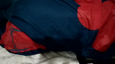 Snapshot of amadeusz chatting on December 22, 2024, 1:34 am amadeusz online show from December 22, 2024, 1:34 am