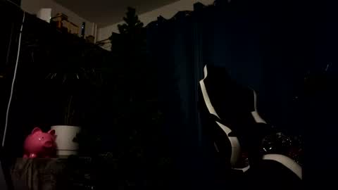 Snapshot of amadeusz chatting on January 4, 2025, 7:02 pm amadeusz online show from January 4, 2025, 7:02 pm