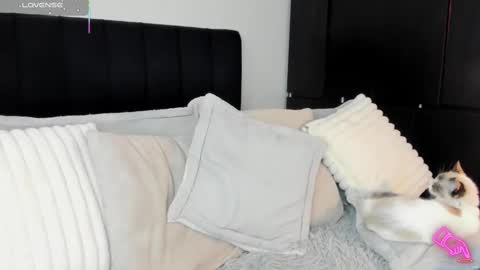 Snapshot of amara_vause chatting on February 13, 2025, 8:55 pm - A M A R A - online show from February 13, 2025, 8:55 pm