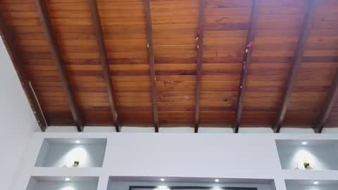 Ambar  online show from March 30, 2026, 11:44 am