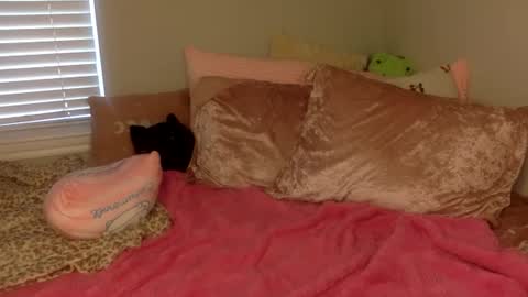 Snapshot of amberbunny1 chatting on September 14, 2025, 3:22 pm Amber 3 online show from September 14, 2025, 3:22 pm