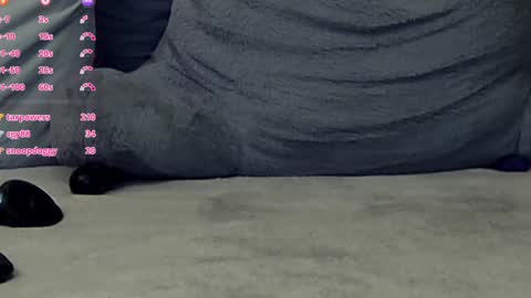 Amber Dawnn online show from December 14, 2024, 11:45 pm