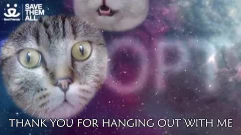 Snapshot of ambersimard chatting on March 5, 2025, 3:08 am Amber online show from March 5, 2025, 3:08 am