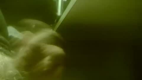 Snapshot of amolafica12 chatting on November 20, 2025, 8:03 am amolafica12 online show from November 20, 2025, 8:03 am