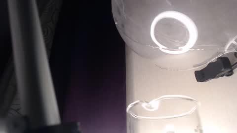 miss unforgettable online show from February 13, 2025, 3:50 am