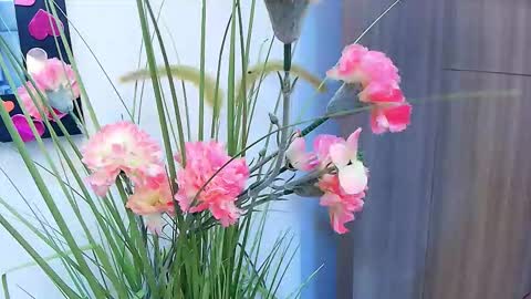 amy__wats0n online show from March 17, 2026, 7:17 pm