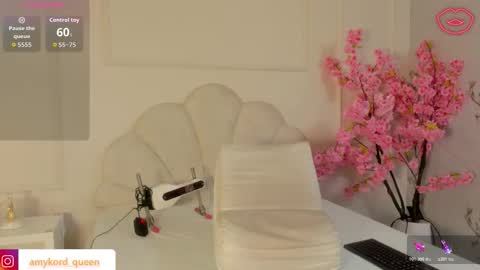 Snapshot of amykord chatting on November 2, 2025, 11:34 am Amykord online show from November 2, 2025, 11:34 am